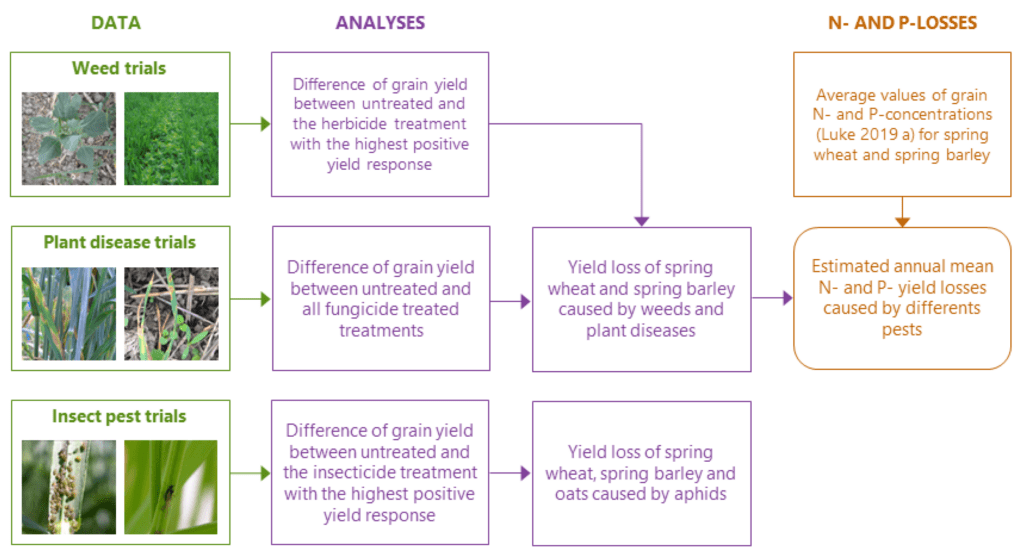The Impact Of Pests On Crop Yields