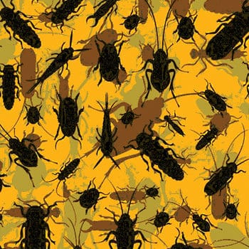 The Impact Of Pests On Food Safety The Impact Of Pests On Food Safety