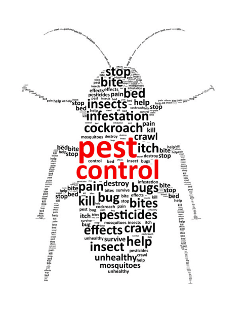 The Impact Of Pests On Food Safety The Impact Of Pests On Food Safety