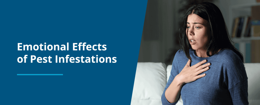 The Impact Of Pests On Mental Health