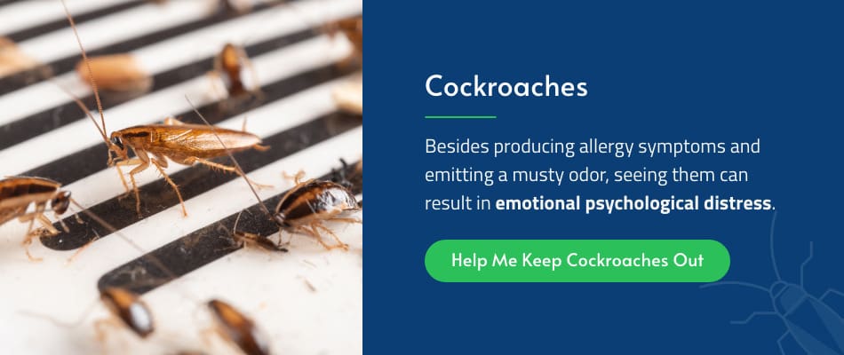 The Impact Of Pests On Mental Health