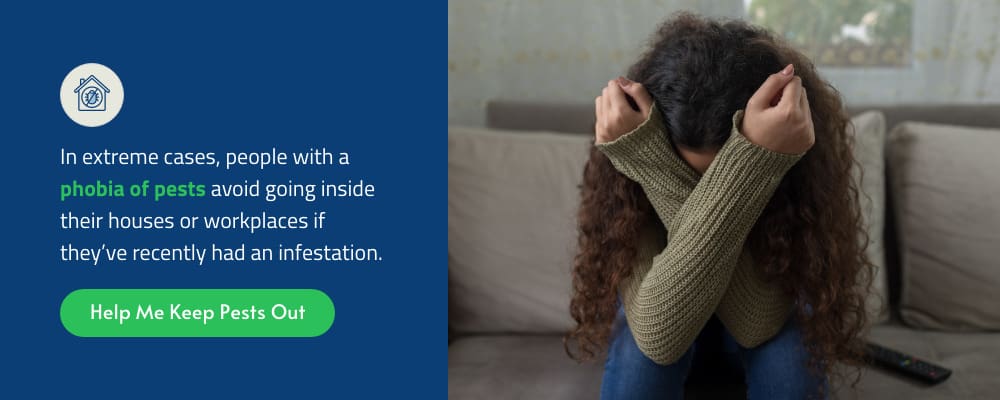 The Impact Of Pests On Mental Health