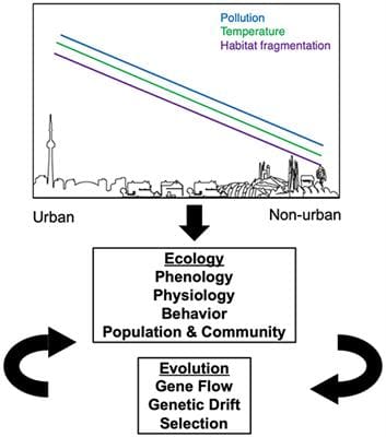 The Impact Of Urbanization On Pest Behavior