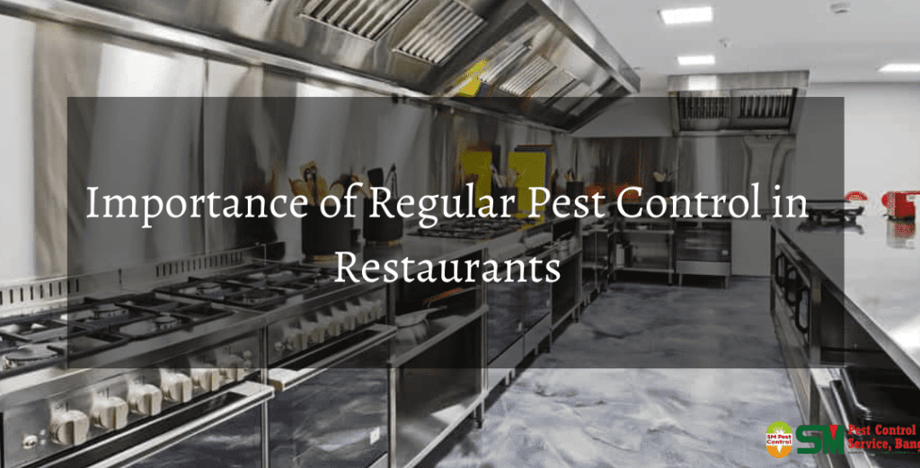 The Importance Of Regular Pest Control In Restaurants The Importance Of Regular Pest Control In Restaurants