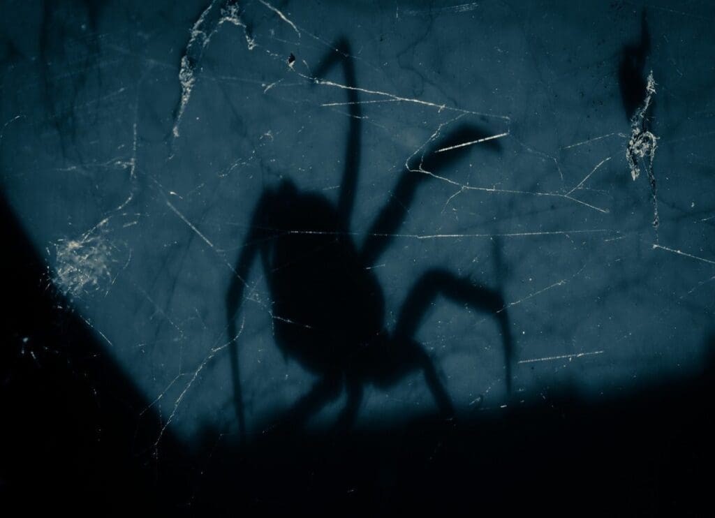 The Mysterious World Of Nocturnal Pests The Mysterious World Of Nocturnal Pests
