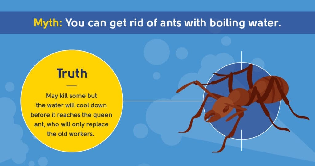 The Mythology Of Pests The Mythology Of Pests
