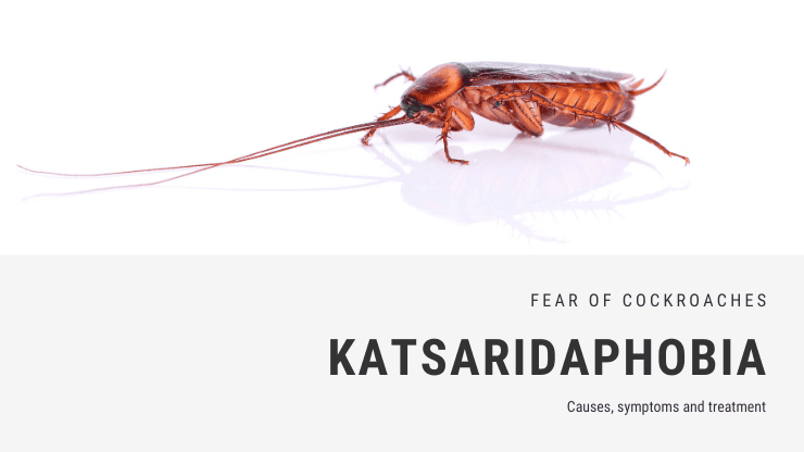 The Psychology Behind Fear Of Pests The Psychology Behind Fear Of Pests