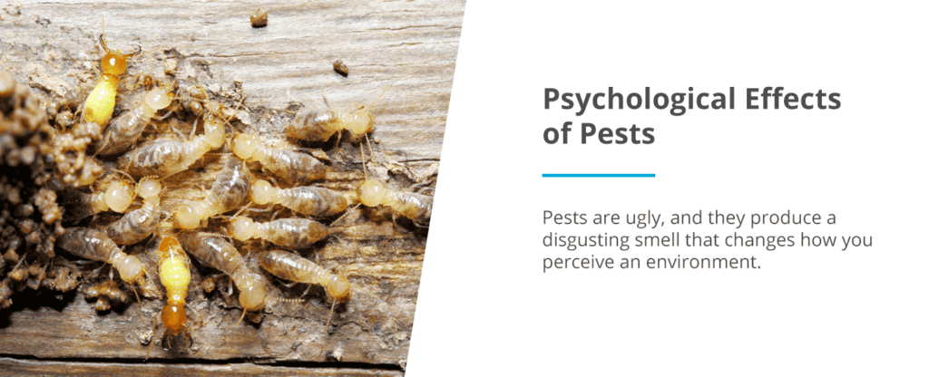 The Psychology Behind Fear Of Pests The Psychology Behind Fear Of Pests