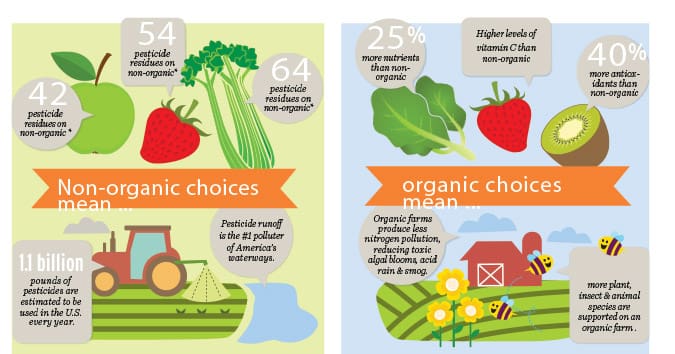 The Rise Of Organic Insecticides: Are They Effective? The Rise Of Organic Insecticides: Are They Effective?