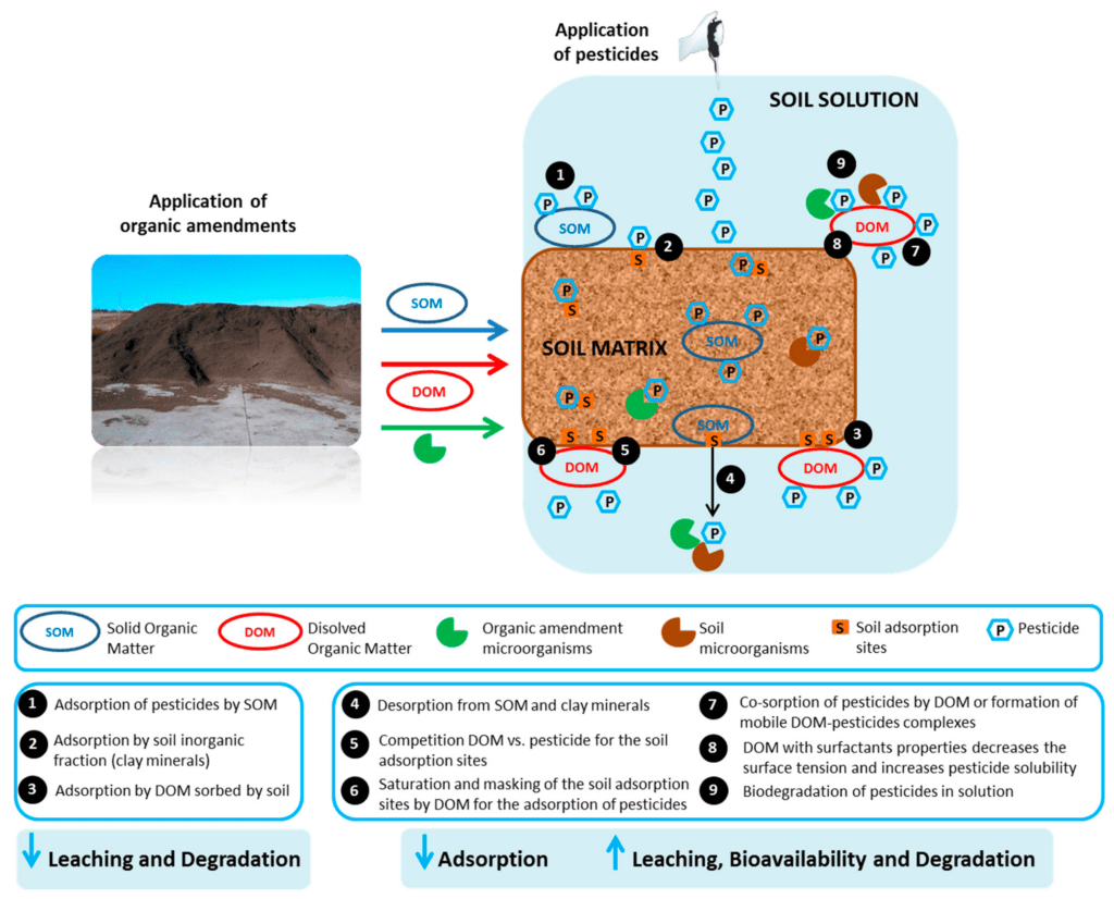 The Rise Of Organic Insecticides: Are They Effective? The Rise Of Organic Insecticides: Are They Effective?