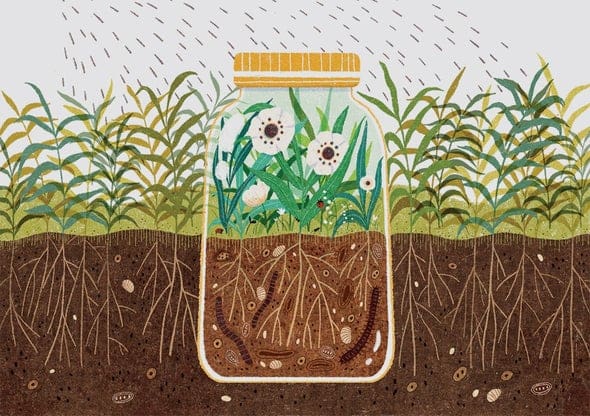 The Rise Of Organic Insecticides: Are They Effective? The Rise Of Organic Insecticides: Are They Effective?