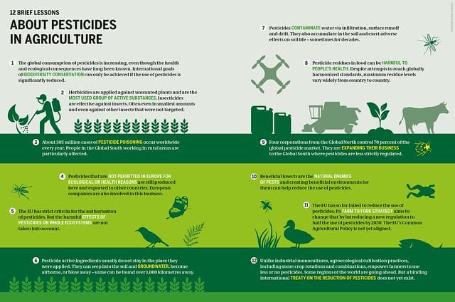The Rise Of Organic Insecticides: Are They Effective? The Rise Of Organic Insecticides: Are They Effective?
