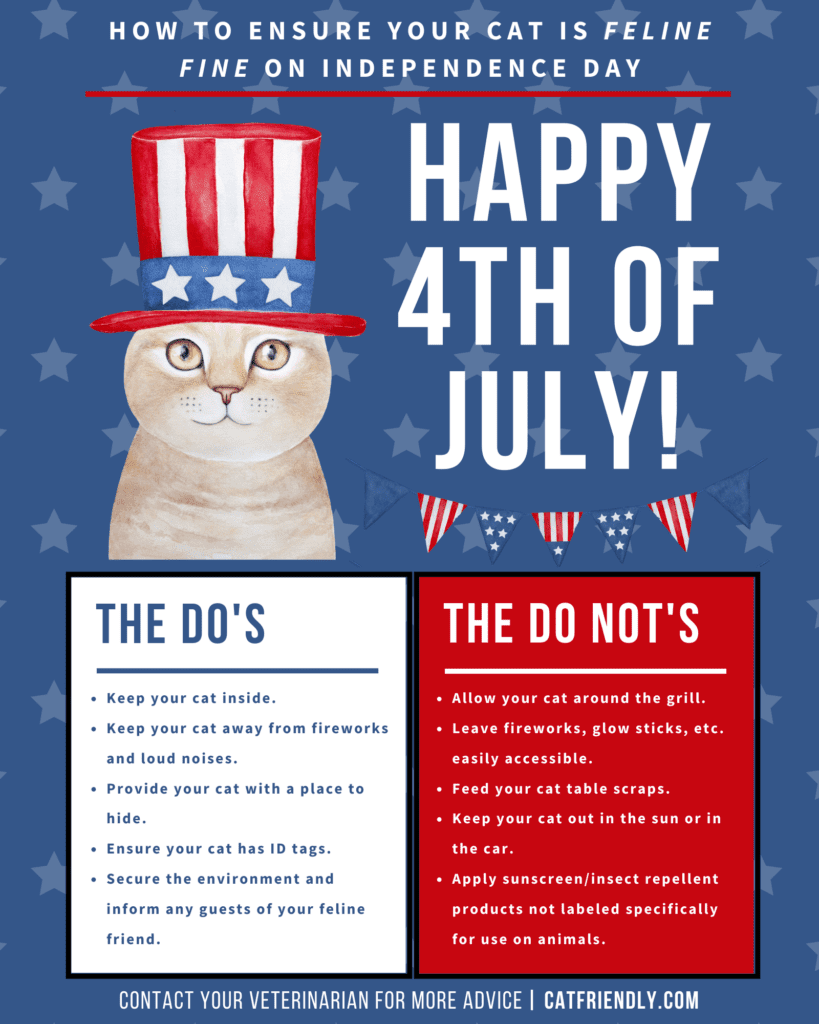 The Role Of Cats During Pest Control: Safety Tips The Role Of Cats During Pest Control: Safety Tips