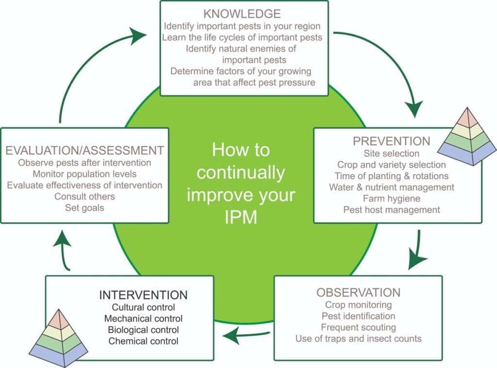 The Role Of Government In Regulating Pest Control Practices The Role Of Government In Regulating Pest Control Practices