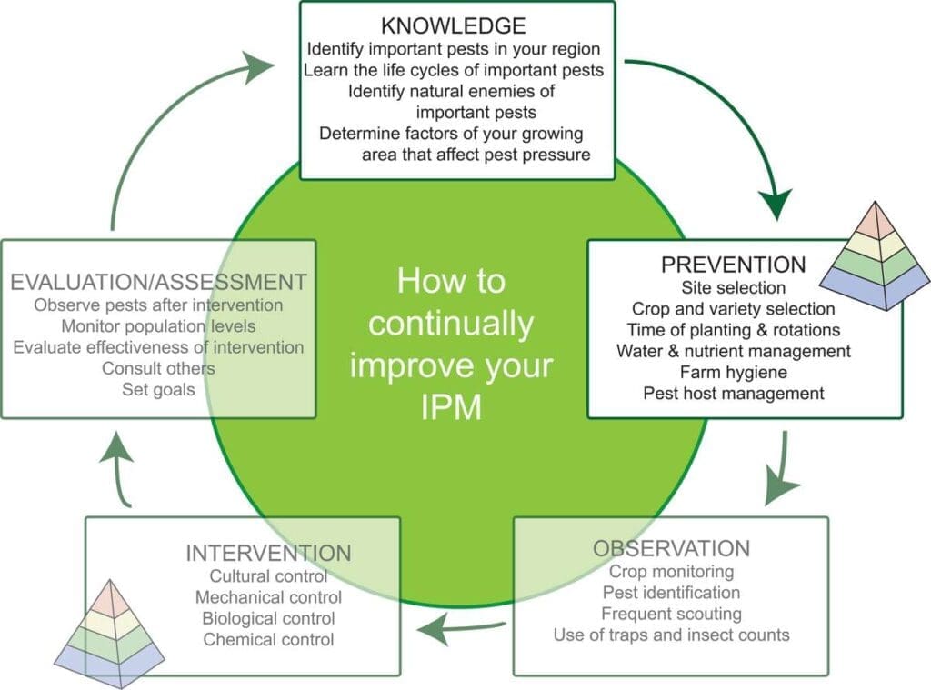 The Role Of Government In Regulating Pest Control Practices The Role Of Government In Regulating Pest Control Practices