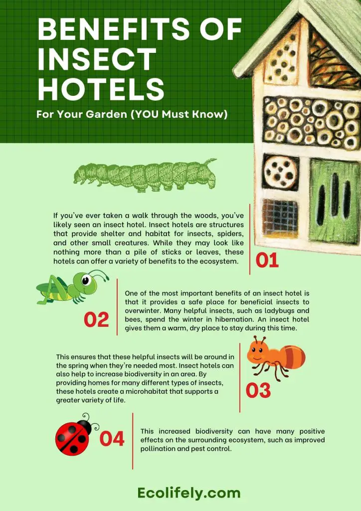The Role Of Insect Hotels In Promoting Beneficial Bugs The Role Of Insect Hotels In Promoting Beneficial Bugs