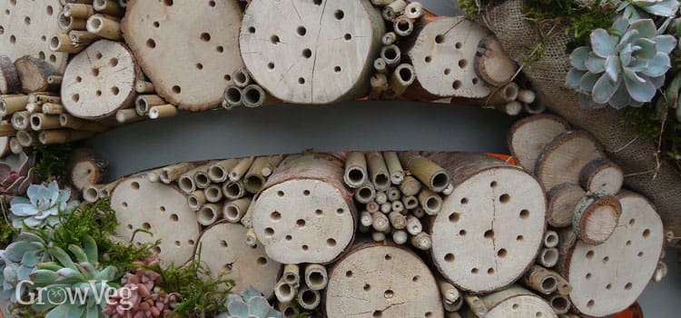 The Role Of Insect Hotels In Promoting Beneficial Bugs The Role Of Insect Hotels In Promoting Beneficial Bugs