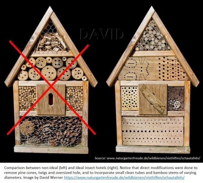 The Role Of Insect Hotels In Promoting Beneficial Bugs The Role Of Insect Hotels In Promoting Beneficial Bugs