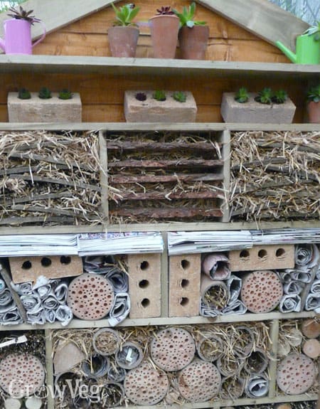 The Role Of Insect Hotels In Promoting Beneficial Bugs The Role Of Insect Hotels In Promoting Beneficial Bugs