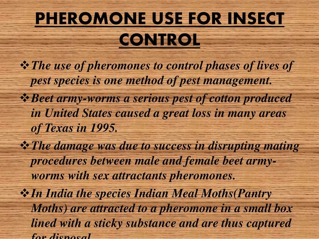 The Role Of Pheromones In Pest Control The Role Of Pheromones In Pest Control