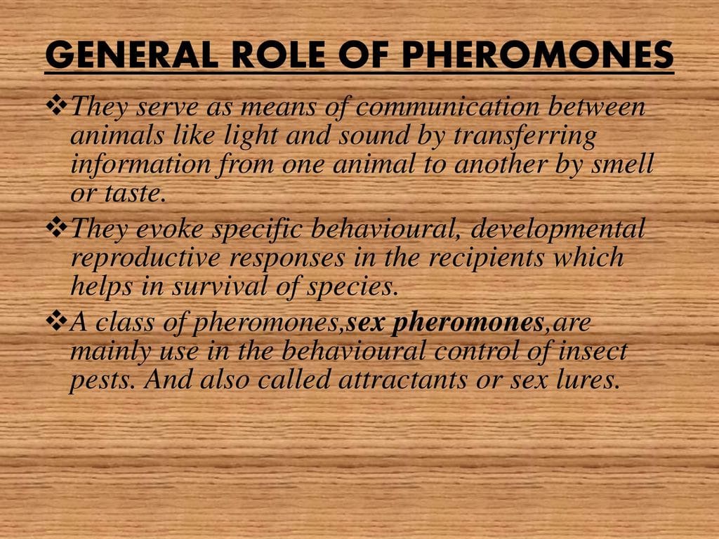 The Role Of Pheromones In Pest Control The Role Of Pheromones In Pest Control