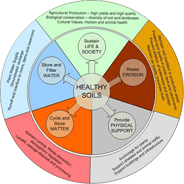 The Role Of Soil Health In Pest Management