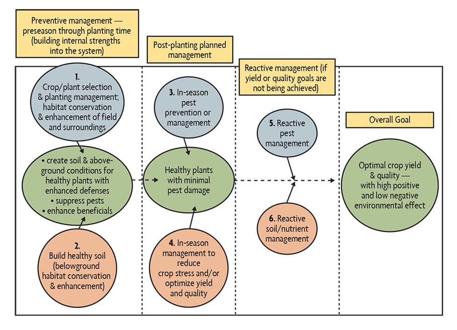 The Role Of Soil Health In Preventing Pest Infestations The Role Of Soil Health In Preventing Pest Infestations