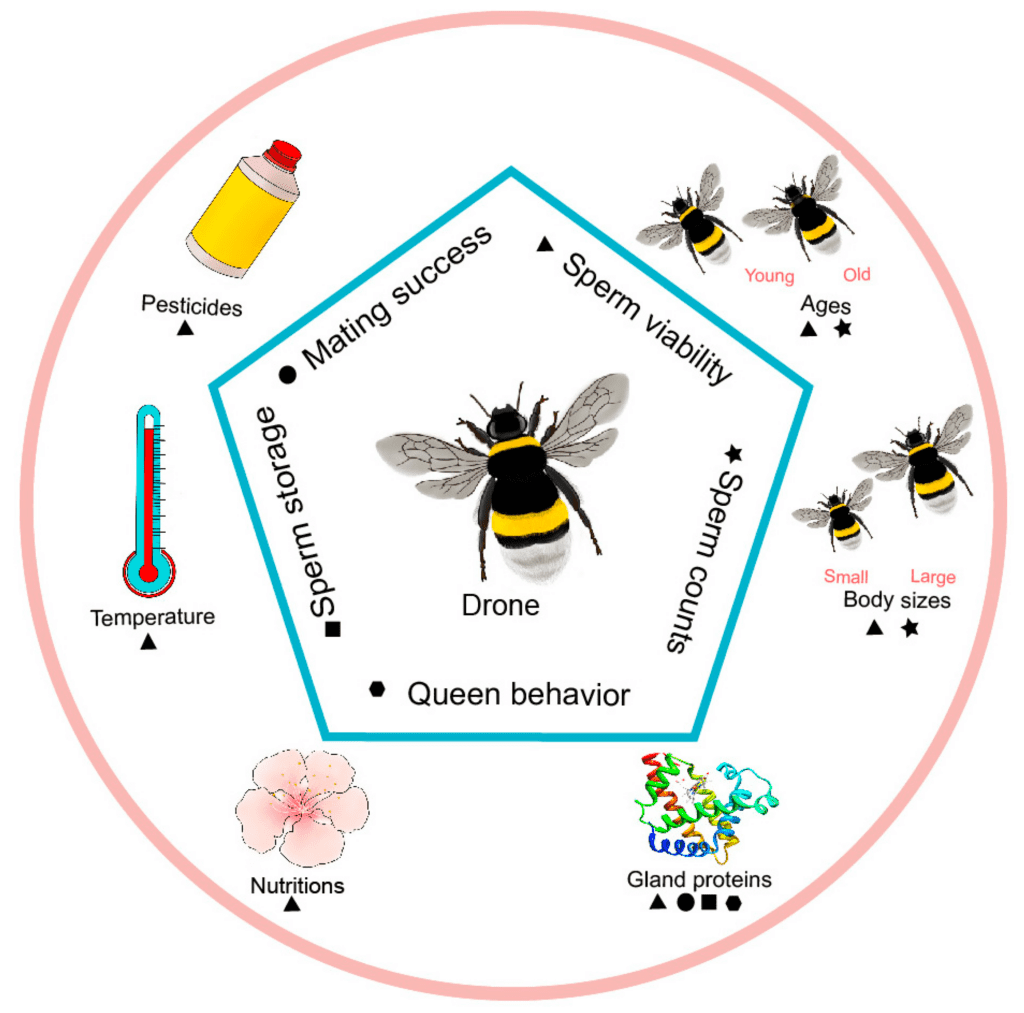 The Science Behind Insect Reproduction And Growth The Science Behind Insect Reproduction And Growth
