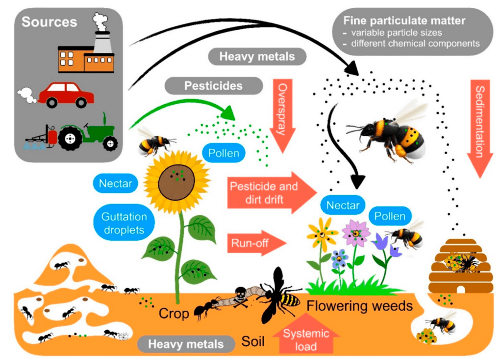 The Science Behind Insect Vision And How It Affects Pest Control The Science Behind Insect Vision And How It Affects Pest Control