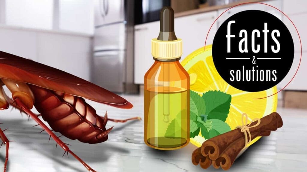 The Science Behind Natural Roach Repellents The Science Behind Natural Roach Repellents