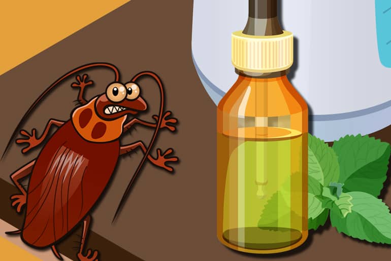 The Science Behind Natural Roach Repellents The Science Behind Natural Roach Repellents