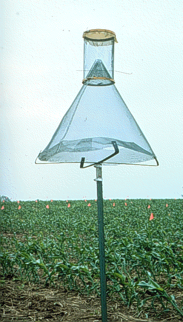 The Science Behind Pheromone Traps The Science Behind Pheromone Traps
