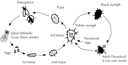 The Science Of Biological Pest Control The Science Of Biological Pest Control