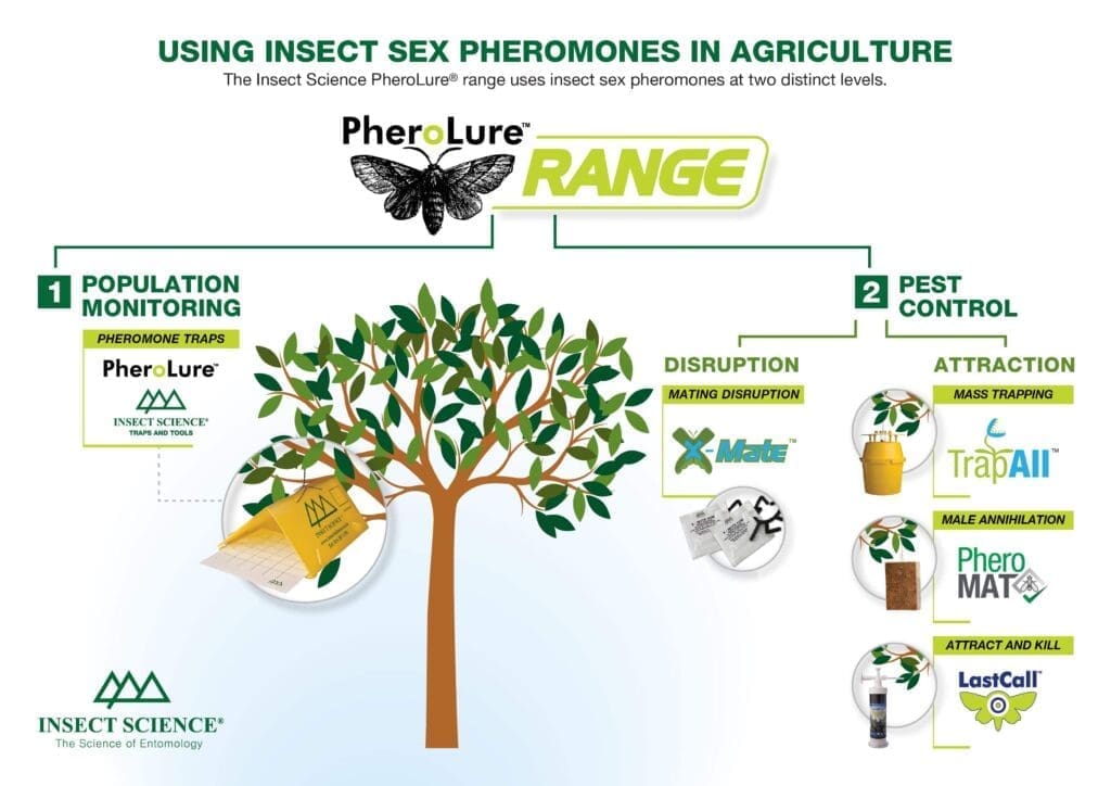 The Science Of Pheromones In Pest Control The Science Of Pheromones In Pest Control