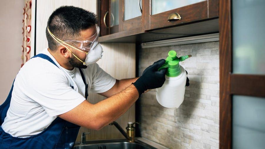 The True Cost Of Pest Control: Breaking Down The Numbers The True Cost Of Pest Control: Breaking Down The Numbers