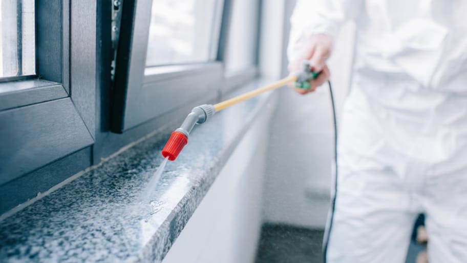 The True Cost Of Pest Control: Breaking Down The Numbers The True Cost Of Pest Control: Breaking Down The Numbers