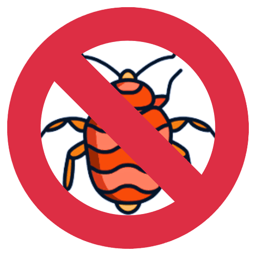 The Ultimate Guide To Bedbug Treatment And Prevention The Ultimate Guide To Bedbug Treatment And Prevention