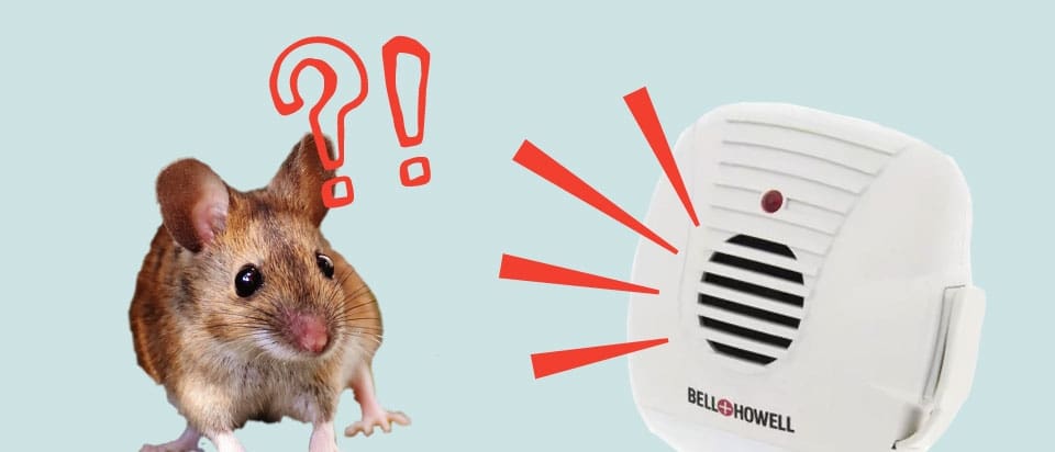 Ultrasonic Pest Repellers: How Do They Work And Are They Safe? Ultrasonic Pest Repellers: How Do They Work And Are They Safe?