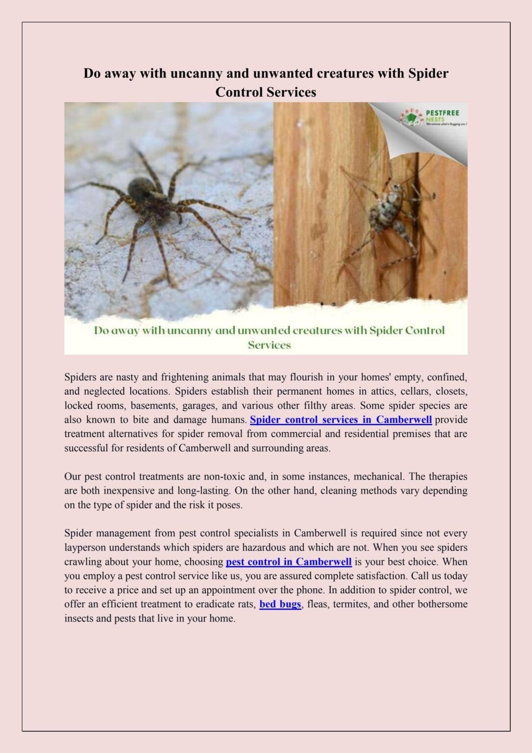 Spider Control Insect Pest Control For Spiders: Costs, Methods, And Prevention Tips | Pest ...