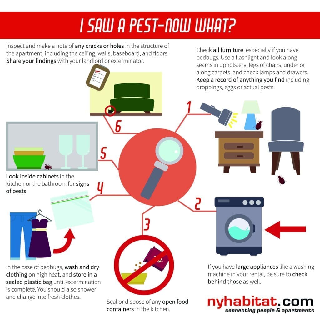 Pest Control In Apartments: What To Expect And How To Prepare Pest Control In Apartments: What To Expect And How To Prepare