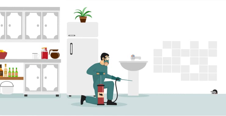 Pest Control In Apartments: What To Expect And How To Prepare Pest Control In Apartments: What To Expect And How To Prepare