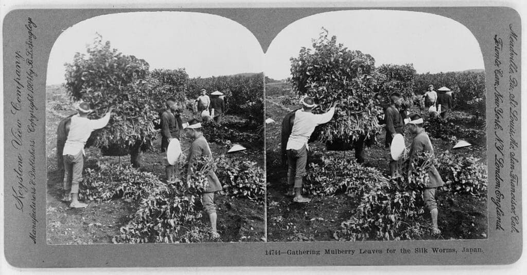 Pest Control In Historical Landmarks Pest Control In Historical Landmarks