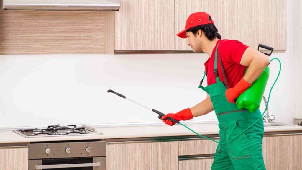 Pest Control In Historical Landmarks Pest Control In Historical Landmarks