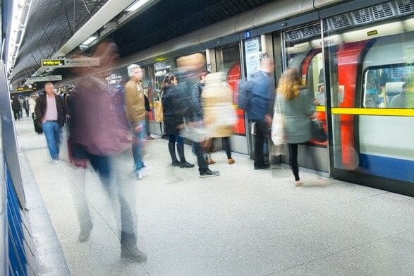 Pest Control In Public Transportation
