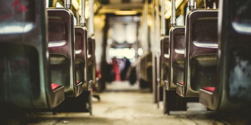 Pest Control In Public Transportation