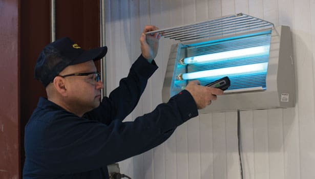 Pest Control In The Aerospace Industry