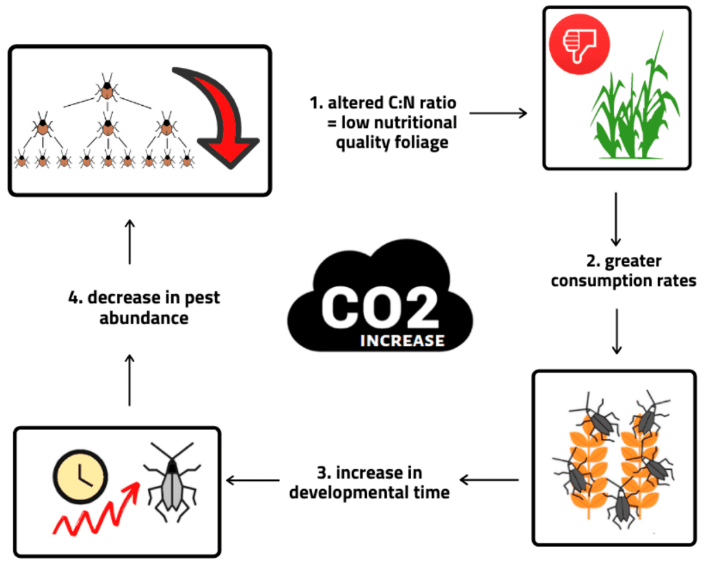 Pests And Climate Change: Whats The Connection? Pests And Climate Change: Whats The Connection?