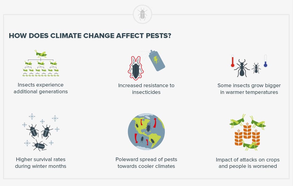 Pests And Climate Change: Whats The Connection? Pests And Climate Change: Whats The Connection?