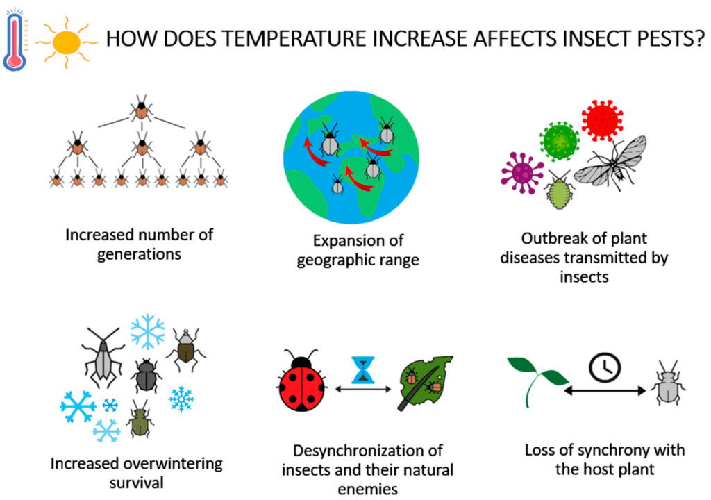 Pests And Climate Change: Whats The Connection? Pests And Climate Change: Whats The Connection?