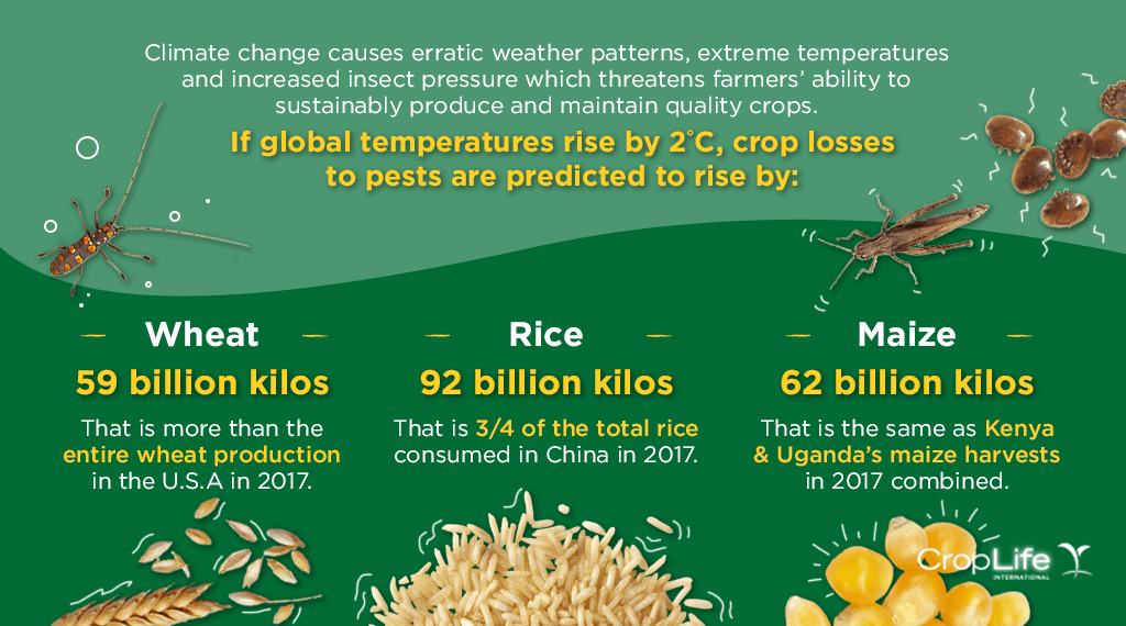 Pests And Climate Change: Whats The Connection? Pests And Climate Change: Whats The Connection?